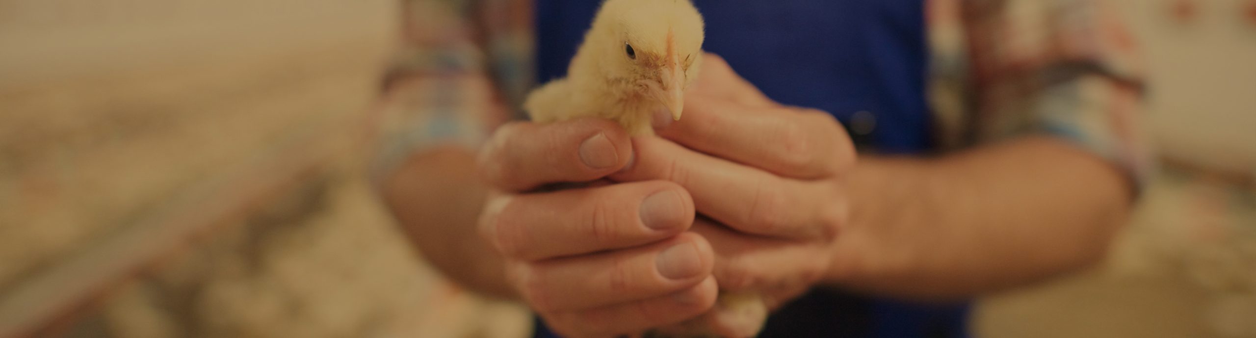 bien-etre-animal-slide-2